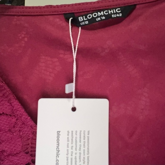 BloomChic cranberry cocktail dress lace bodice size 12 maxi dressy formal - Picture 4 of 12